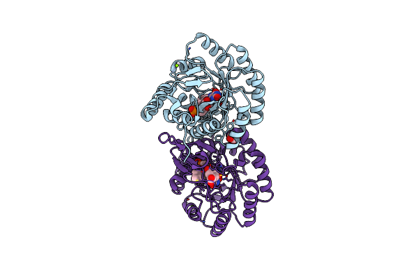 2BX7 image