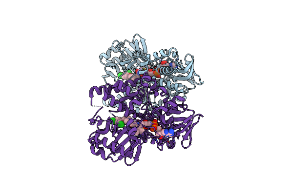 2BXR image
