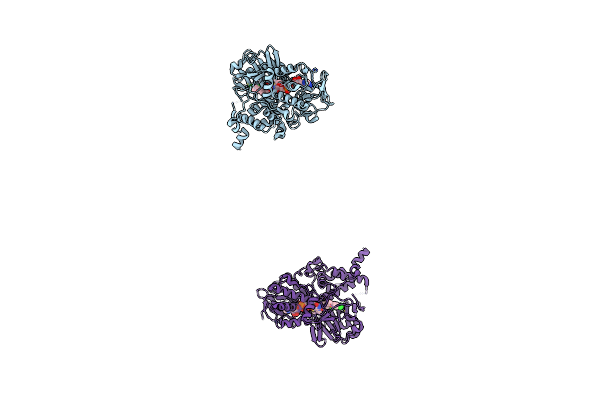 2BXS image
