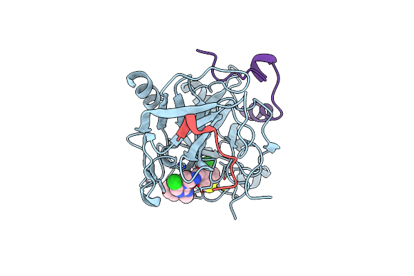 2BXT image