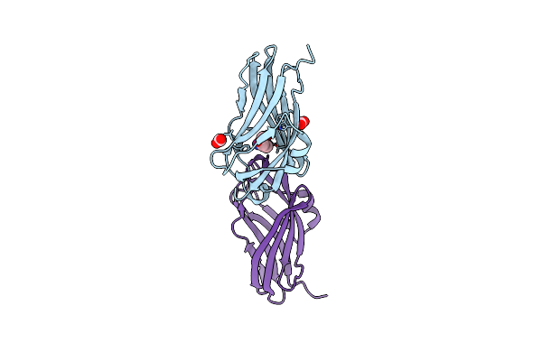2BXW image