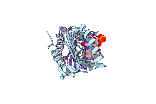 2BYC image