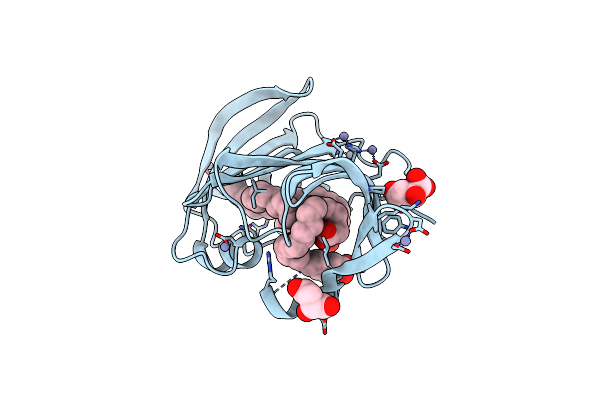 2BYO image