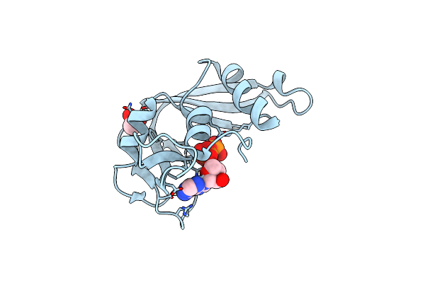 2C01 image