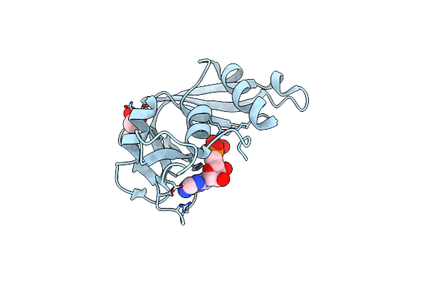 2C02 image