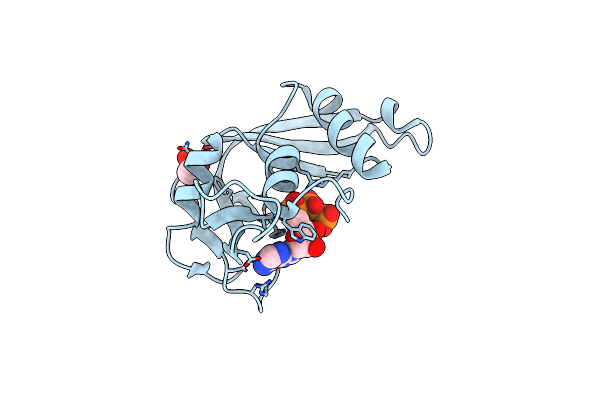 2C05 image