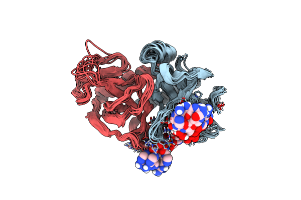 2C06 image