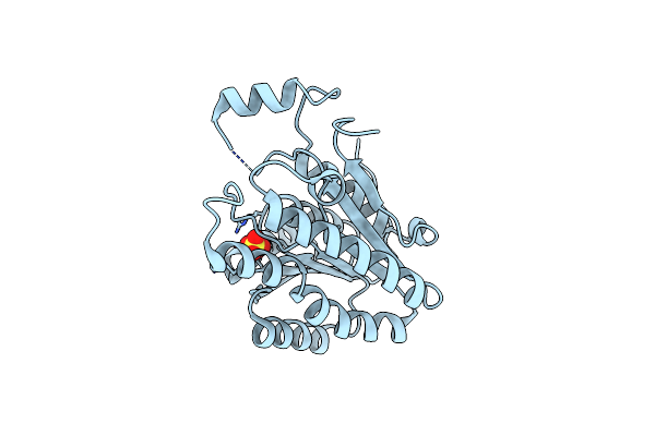 2C07 image