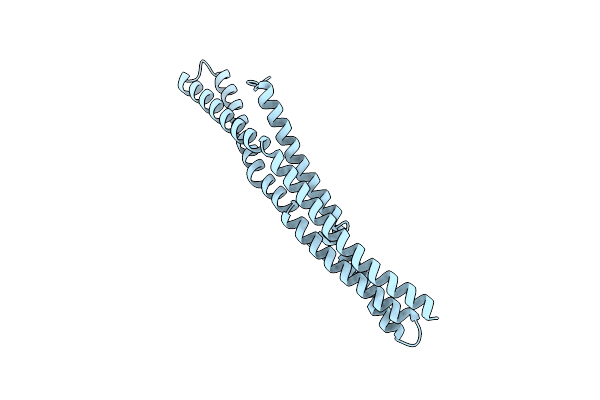 2C08 image