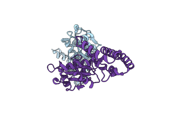 2C0E image