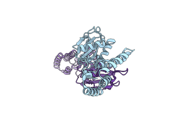 2C0F image