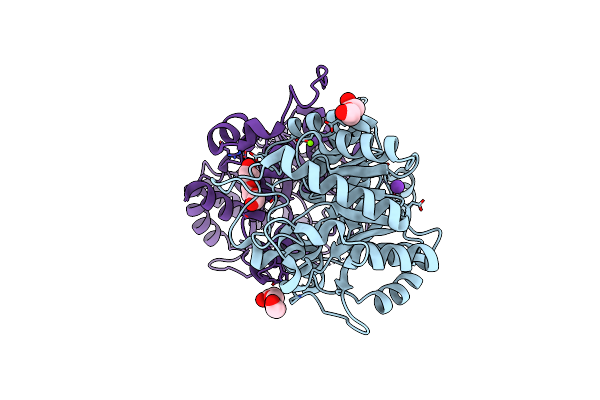 2C13 image