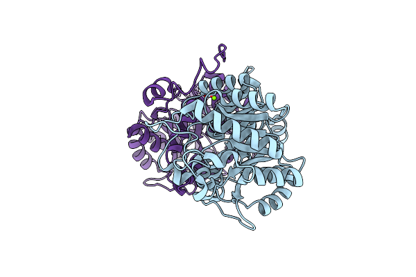 2C14 image