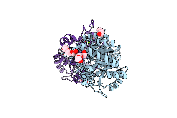2C16 image