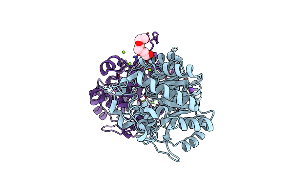 2C18 image