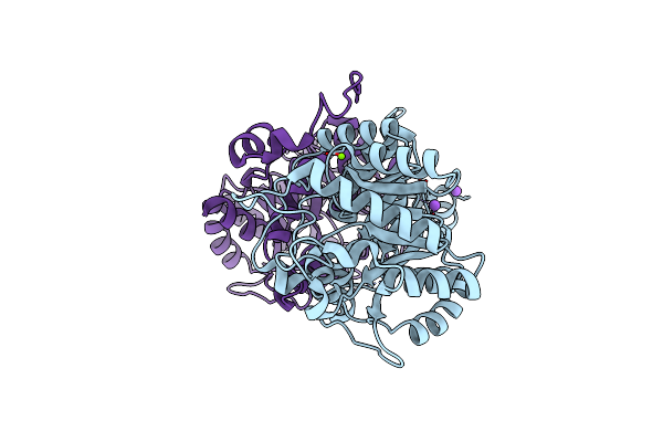 2C19 image