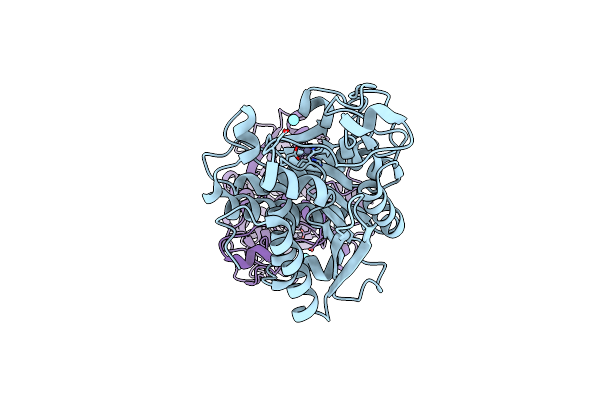 2C1C image