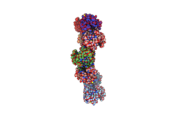 2C1D image