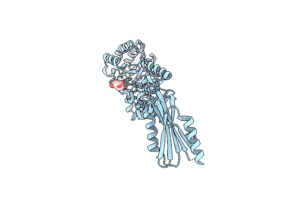 2C1I image