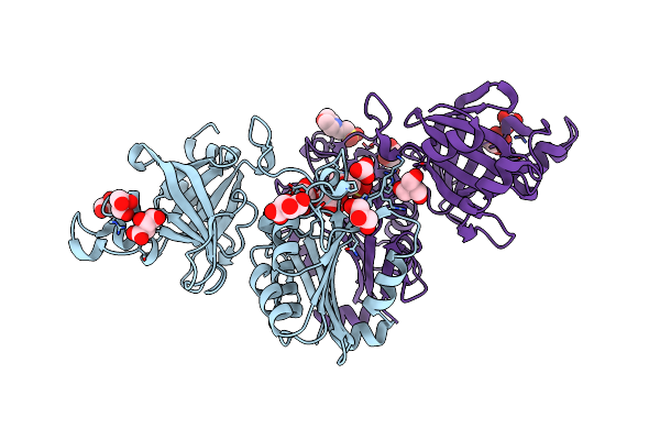 2C1L image