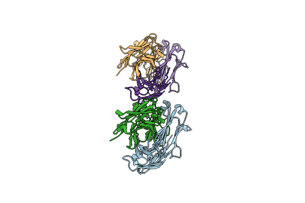 2C1O image