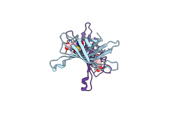 2C1S image