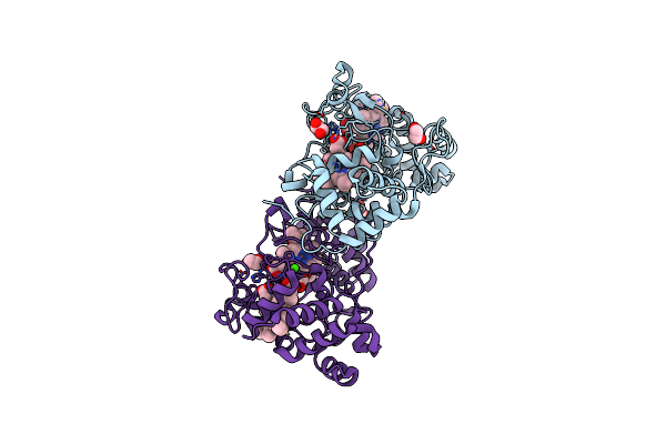2C1V image