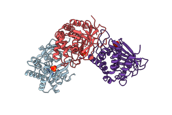 2C1W image