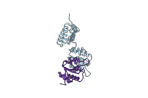 2C1Y image