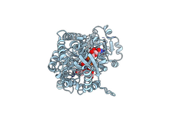 2C1Z image