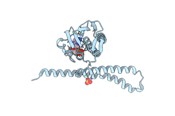 2C2A image