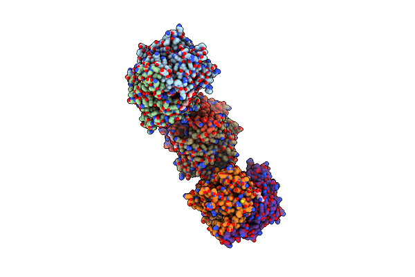 2C2B image