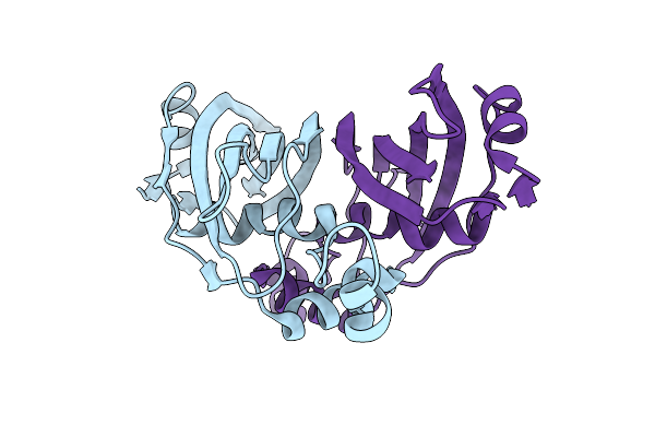 2C2I image