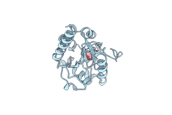 2C2Q image