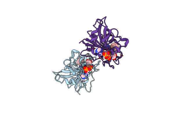 2C2S image