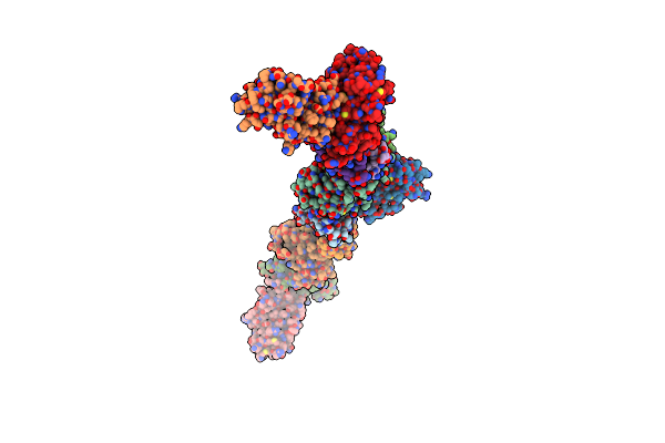 2C2V image