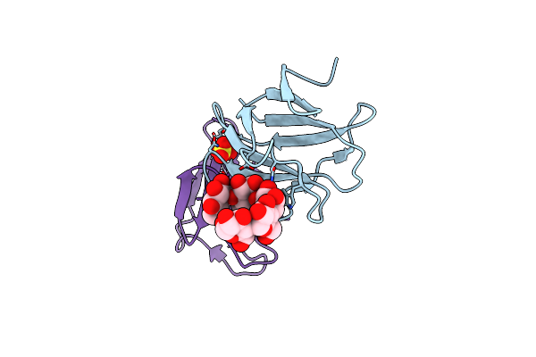 2C3X image