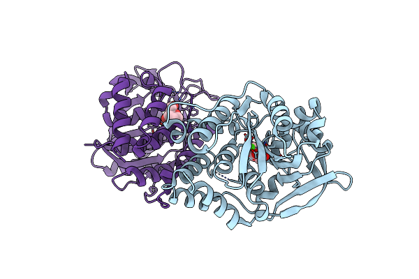 2C40 image
