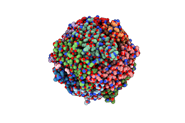 2C41 image