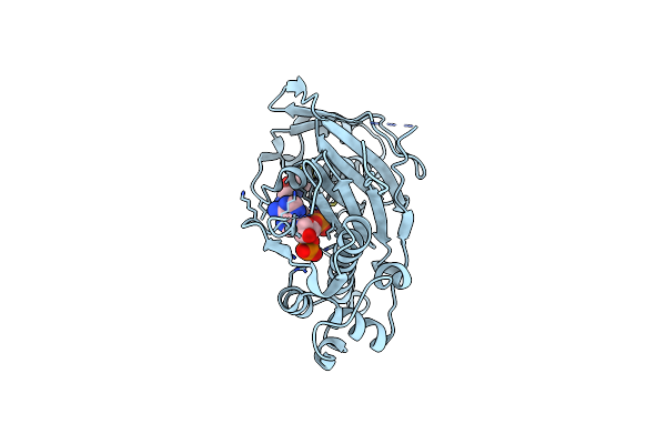 2C43 image