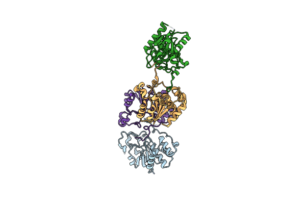 2C46 image