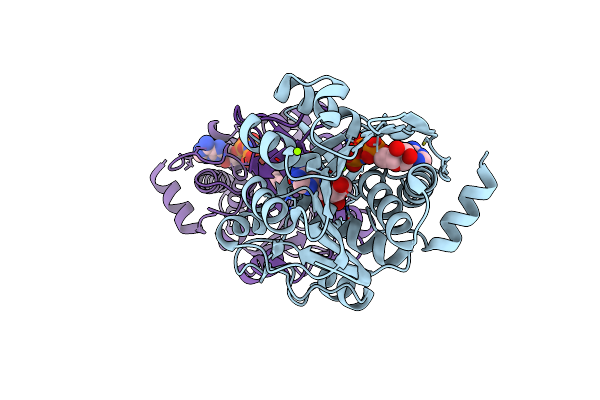 2C49 image