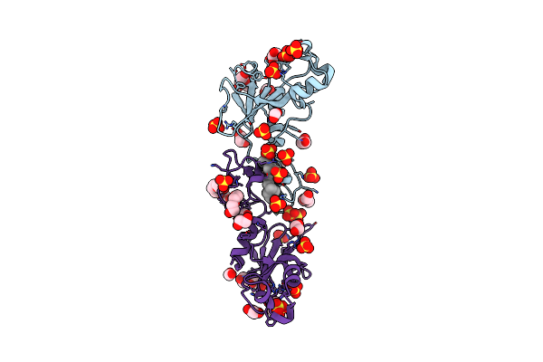2C4B image