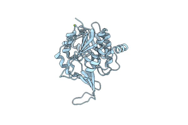 2C4E image