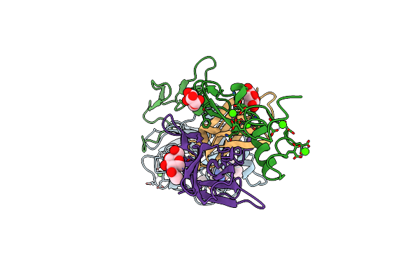 2C4F image