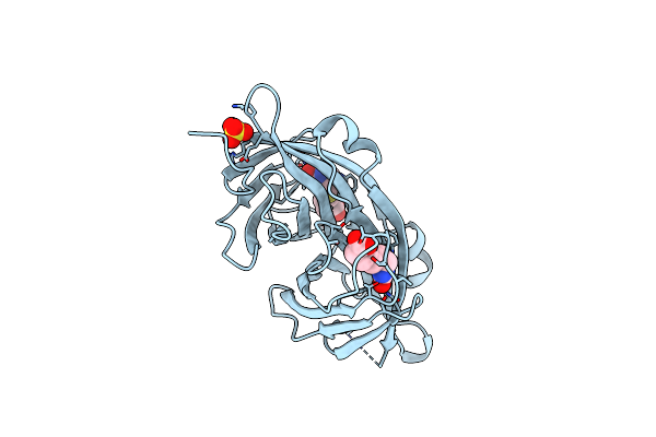 2C4I image