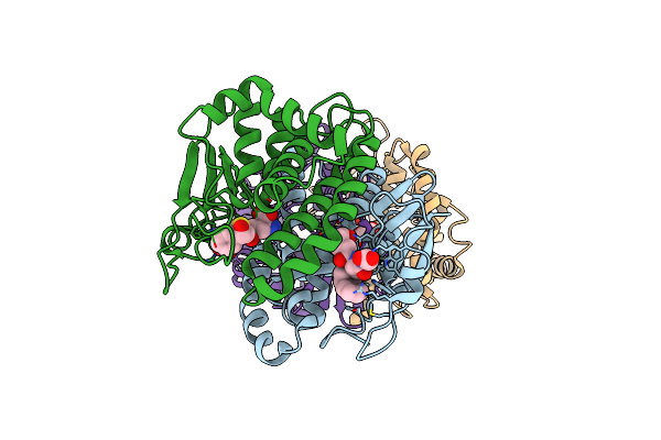 2C4J image
