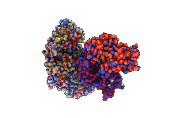 2C4K image
