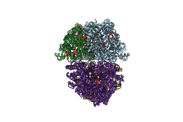 2C4M image