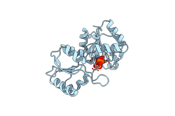 2C4N image